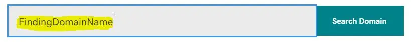 find-the-domain-name-search-section