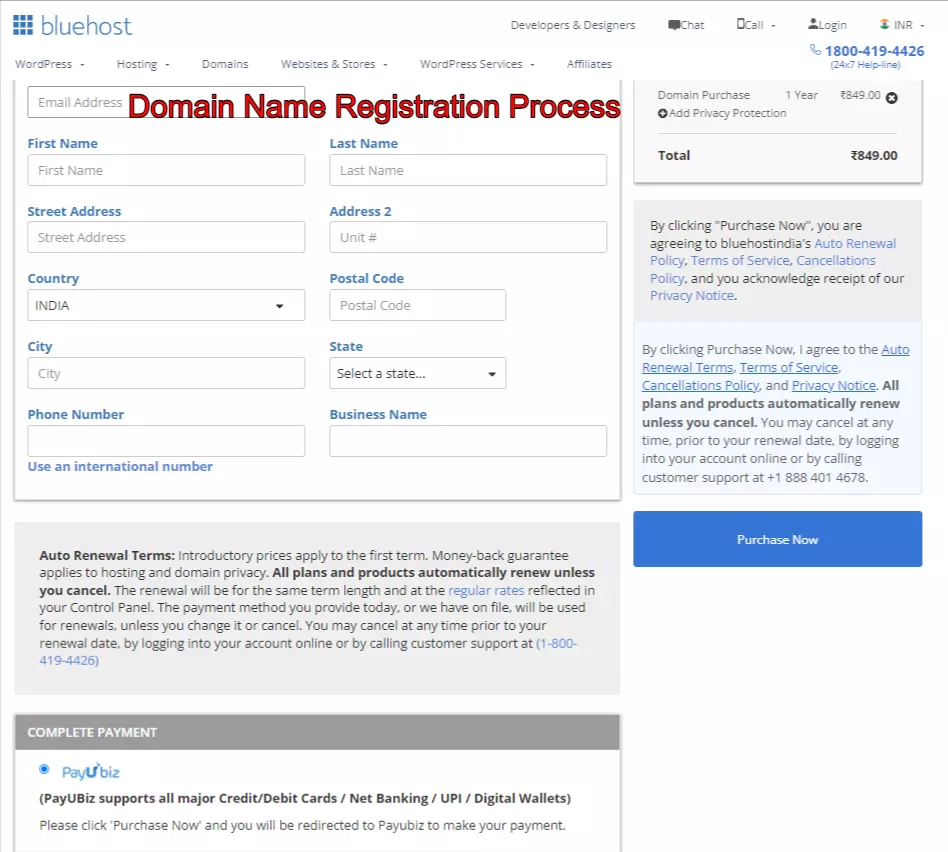 domain-name-registering-process