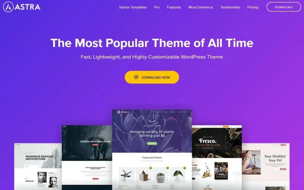 Astra-Fast-Lightweight-Customizable-WordPress-Theme-Elementor-Compatible